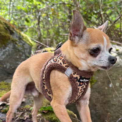 Tiny Trails Step In Luxury Leopard Fur Lined Puppy and Small Dog Harness