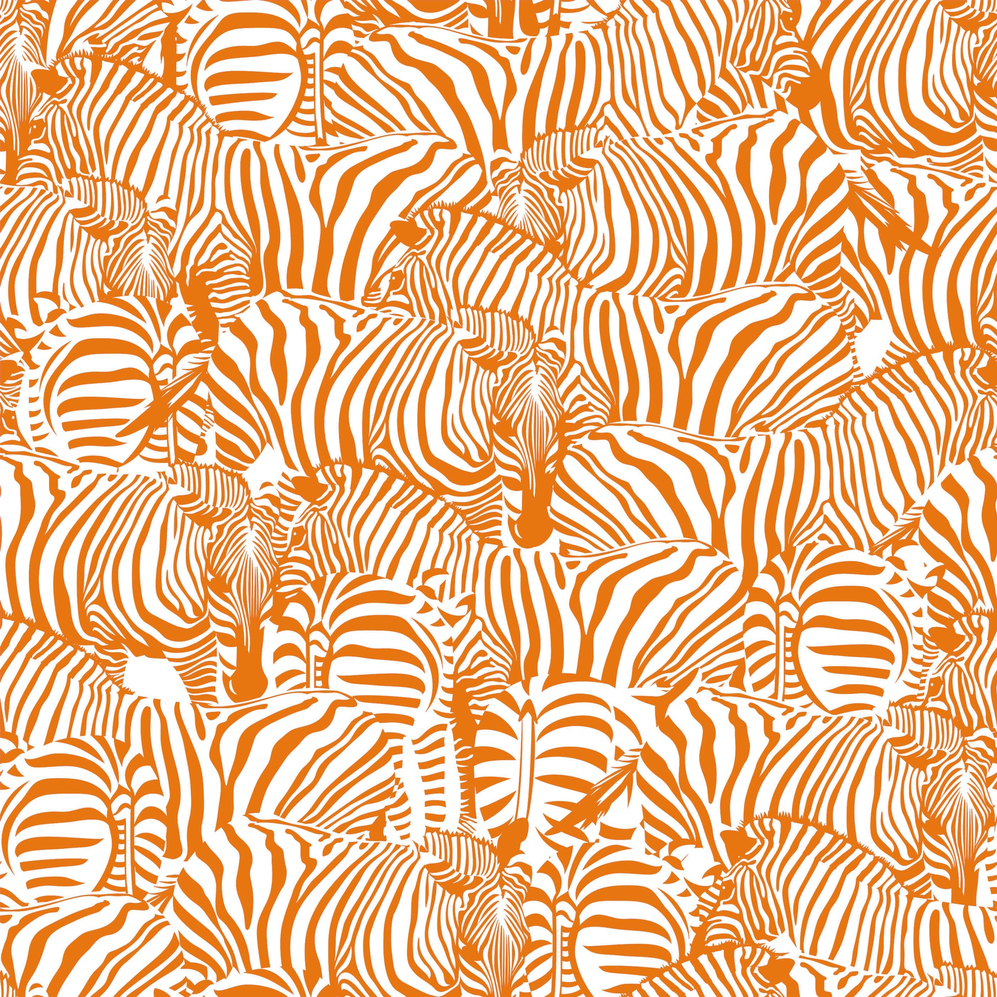 Monochrome Zebra Wallpaper