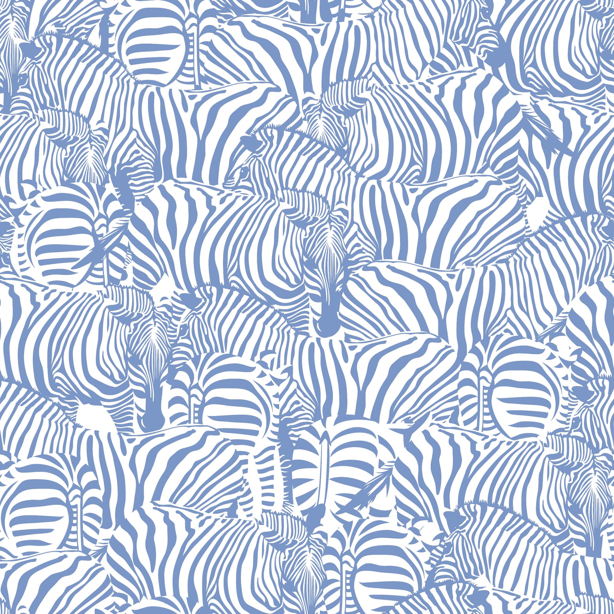 Monochrome Zebra Wallpaper