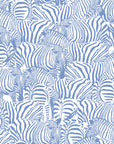 Monochrome Zebra Wallpaper