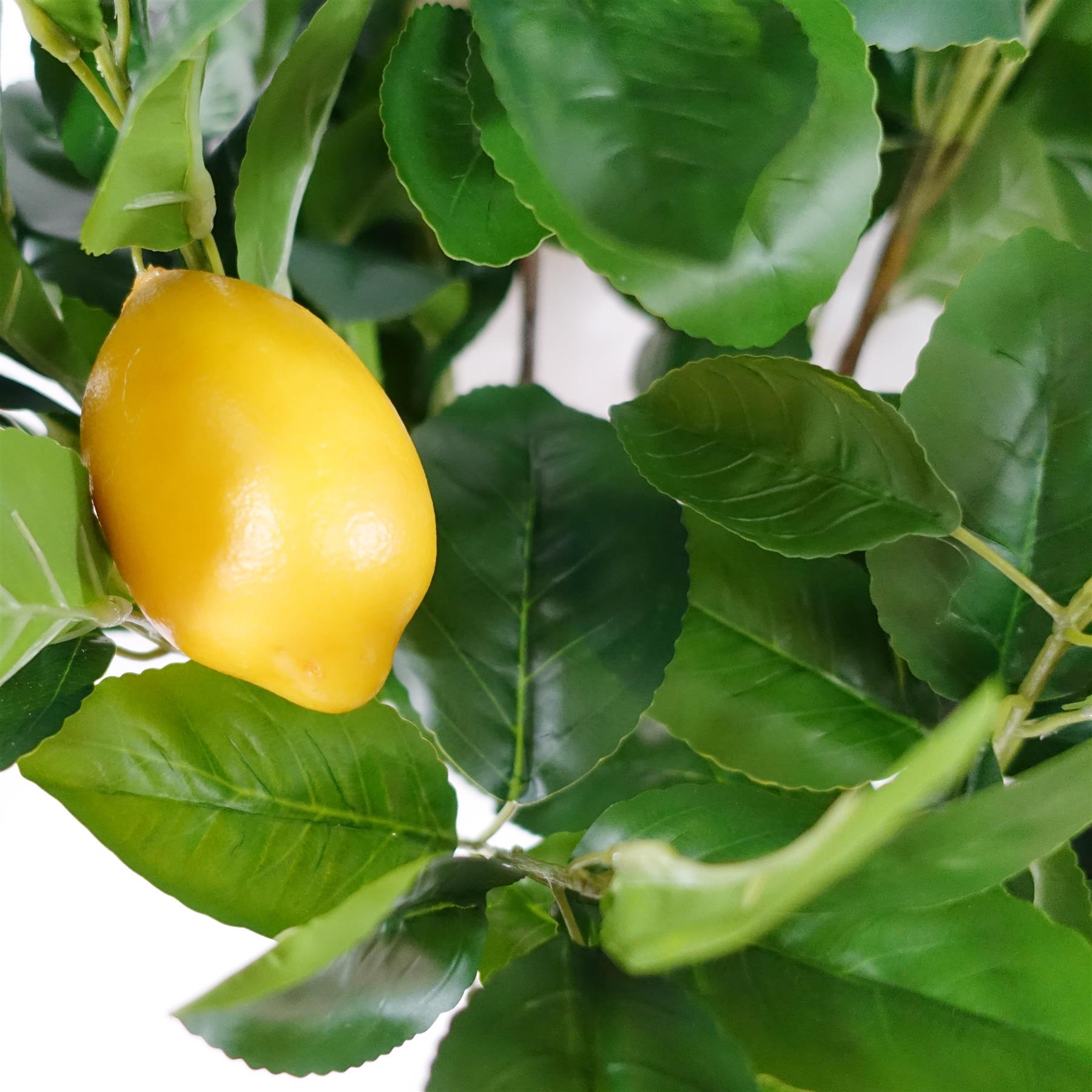 120cm Premium Artificial Lemon Tree-4