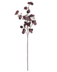 Burgundy Berried Eucalyptus Stem