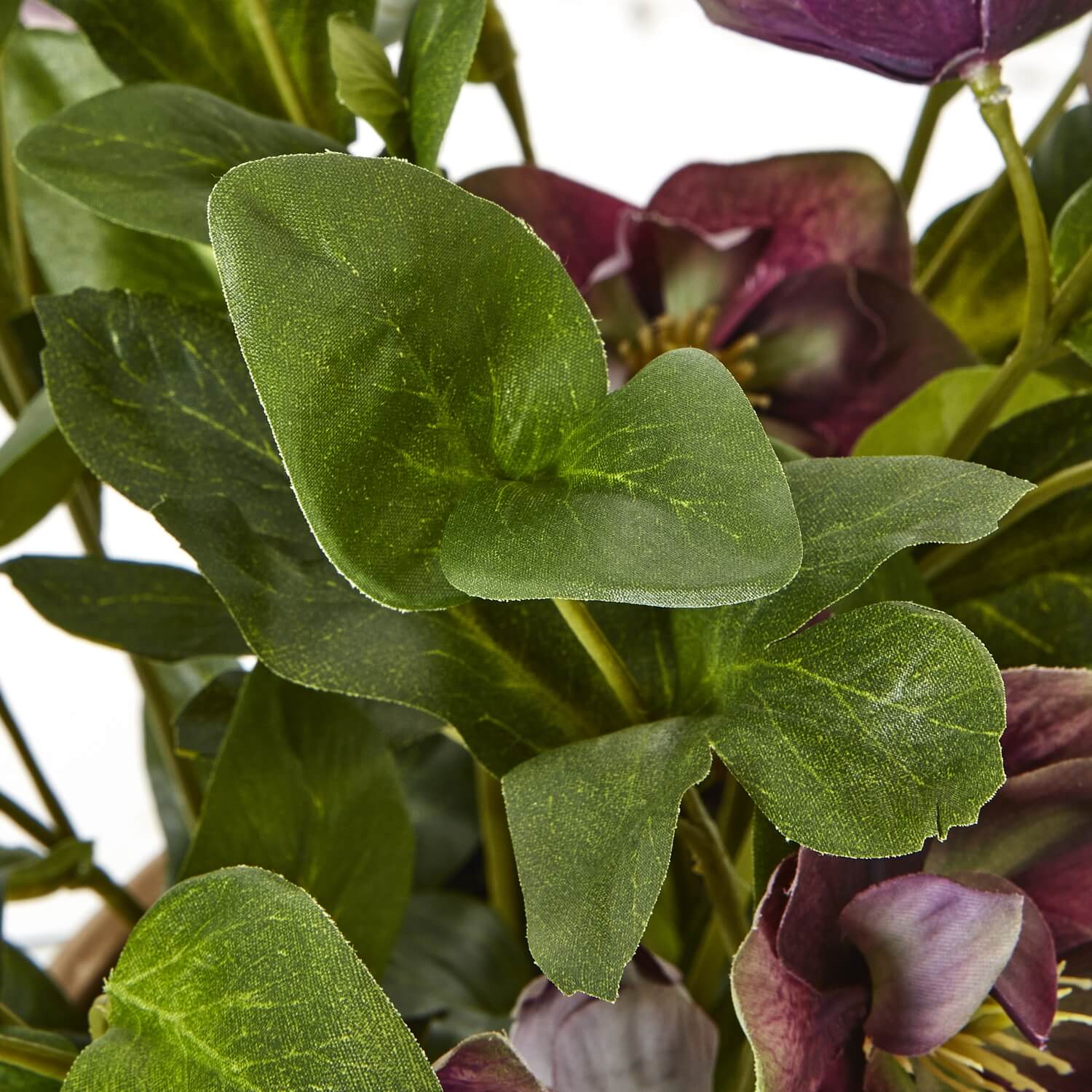 Faux Plum Hellebore in Taupe Ceramic Pot