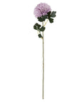Purple Chrysanthemum Stem Forever in Bloom