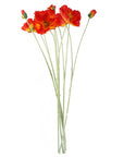 Pack of 6 x Artificial Flowers Poppy Stem - 2 Flowers 100cm-1
