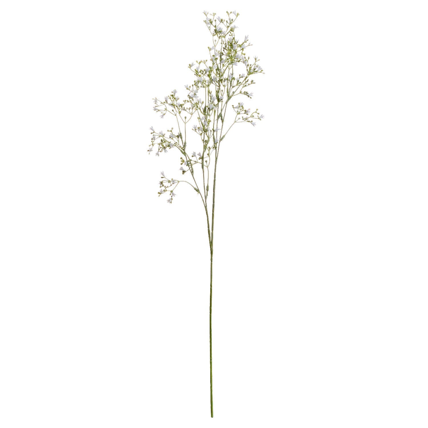 Elegant White Gypsophila Spray | Fresh &amp; Timeless Blooms
