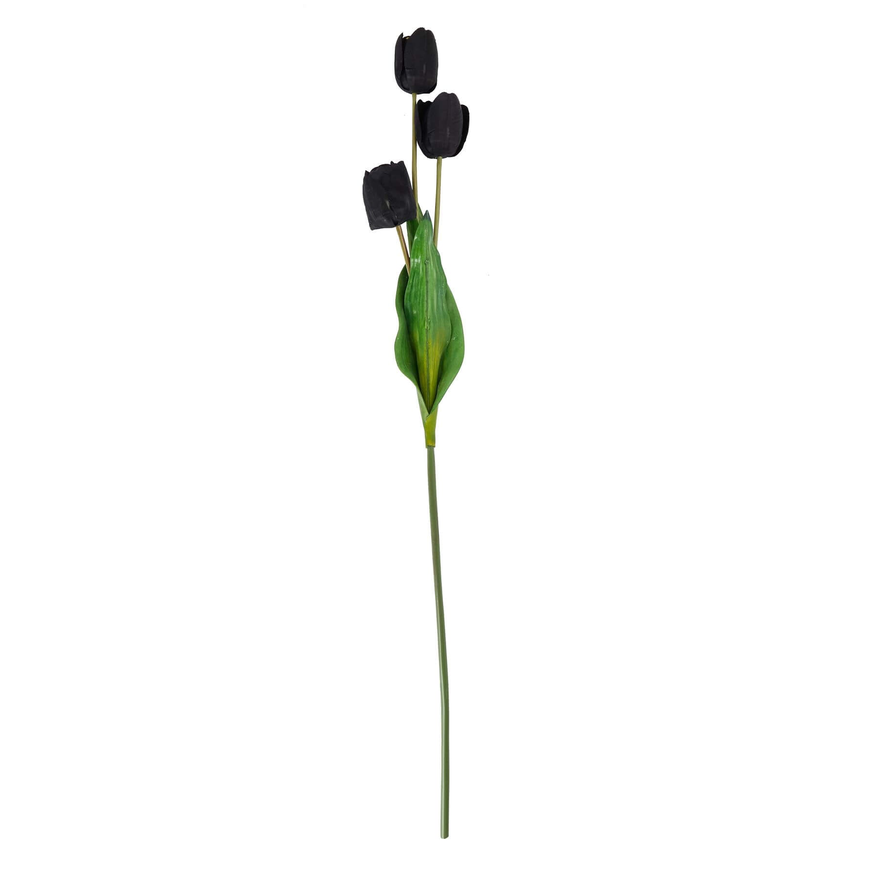 Elegant Tall Black Triple Tulip Vase | Modern Floral Display