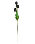 Elegant Tall Black Triple Tulip Vase | Modern Floral Display