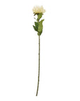 Luxury Cream Protea Lorea Stem | Elegant Floral Decor