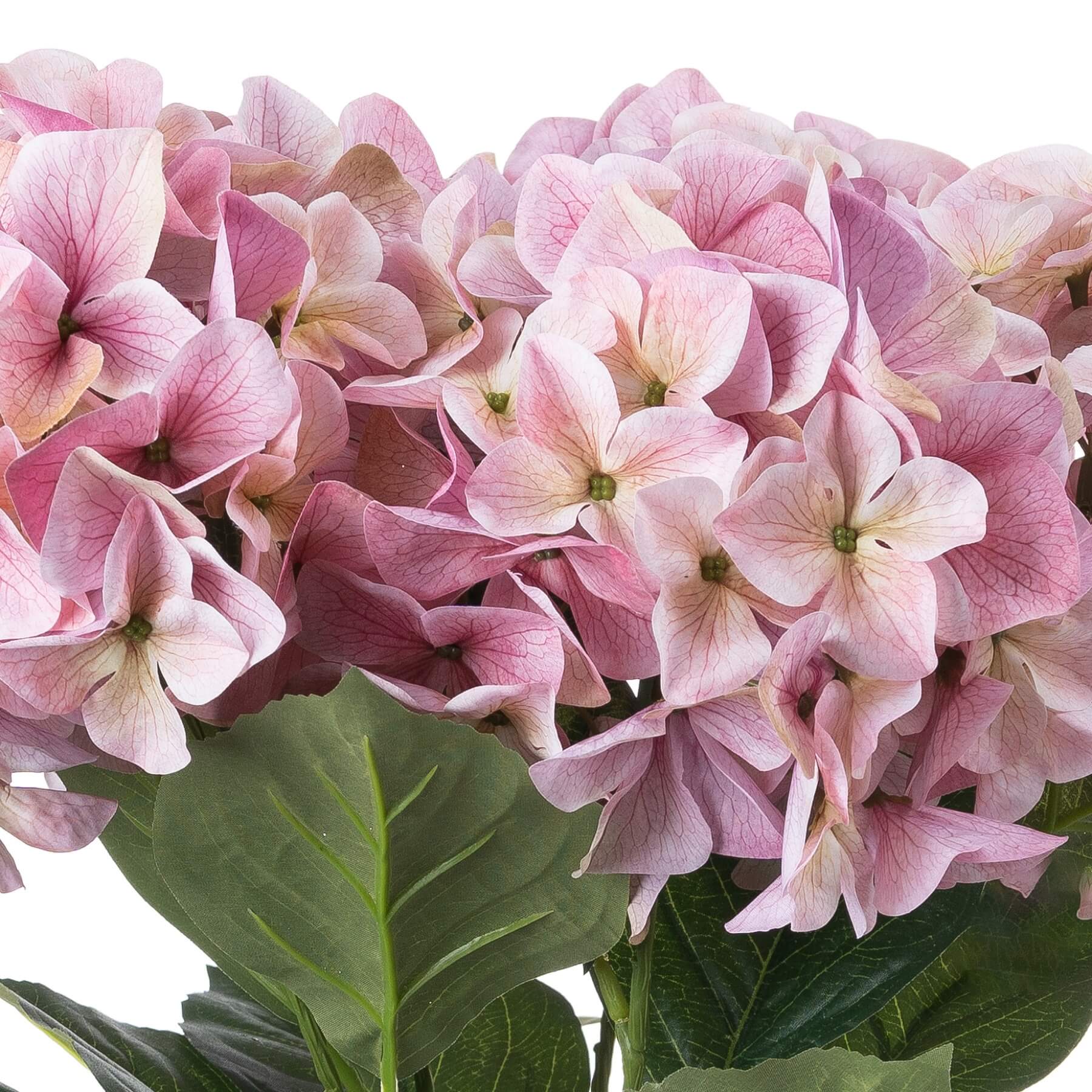 Romantic Pink Hydrangea Bouquet for Effortless Elegance