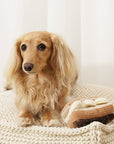 Éclair enrichment dog toy