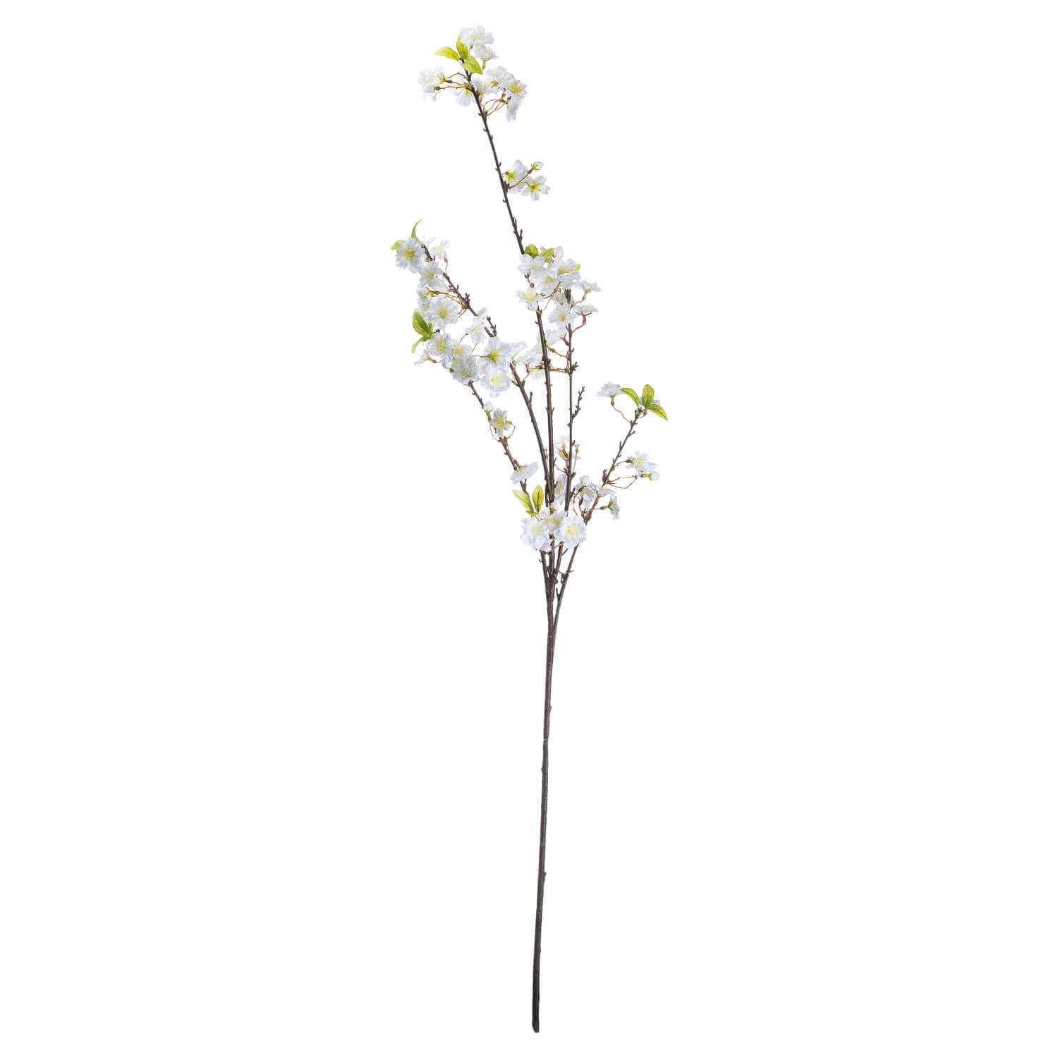 Soothing White Cherry Blossom Mist | Floral Fragrance