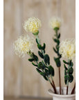 Cream Protea Pincushion Faux Flower Stem