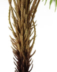 Artificial Large Fern Plant pot-2