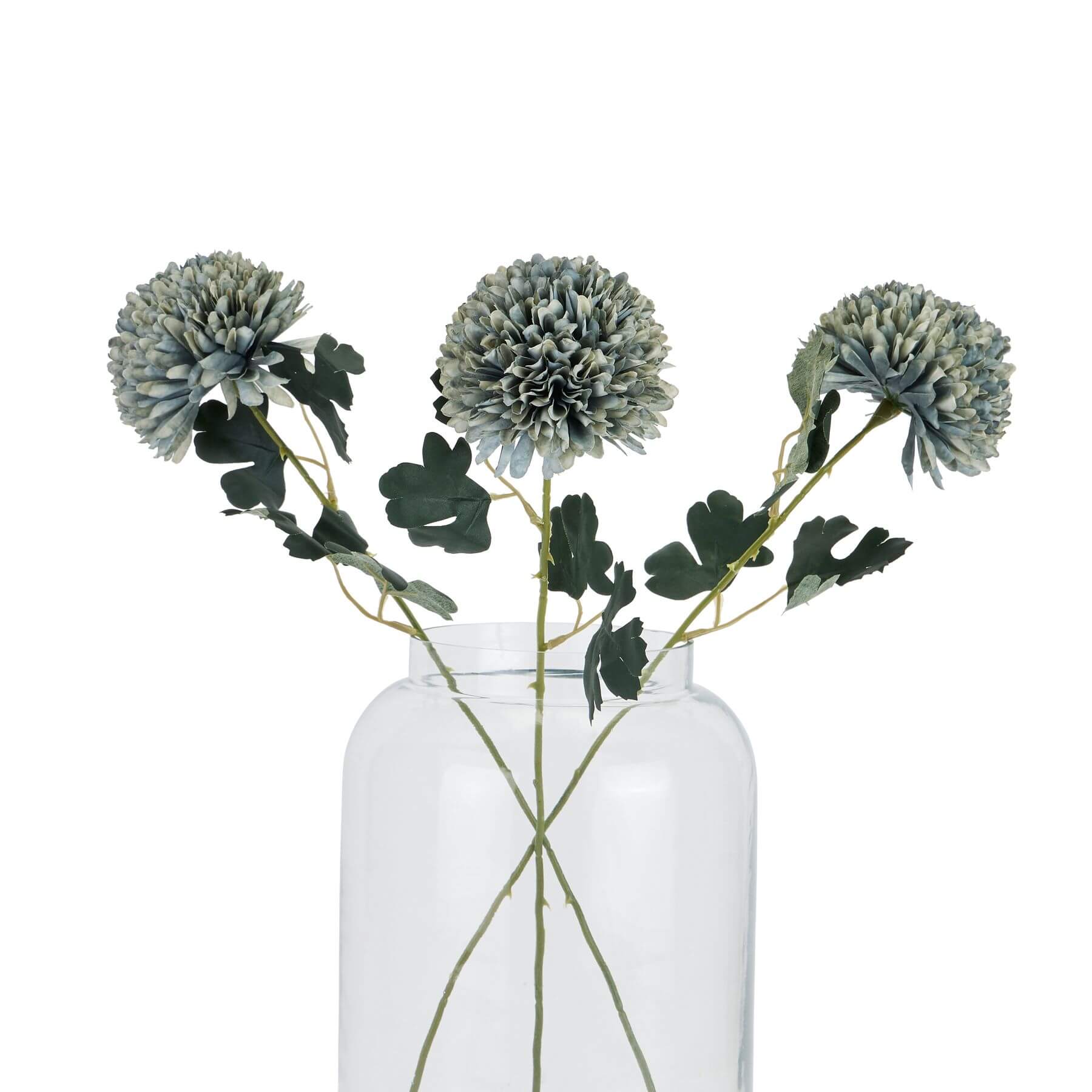 Chrysanthemum Stem in Teal Sage