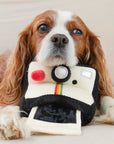 Instant Camera dog enrichment toy