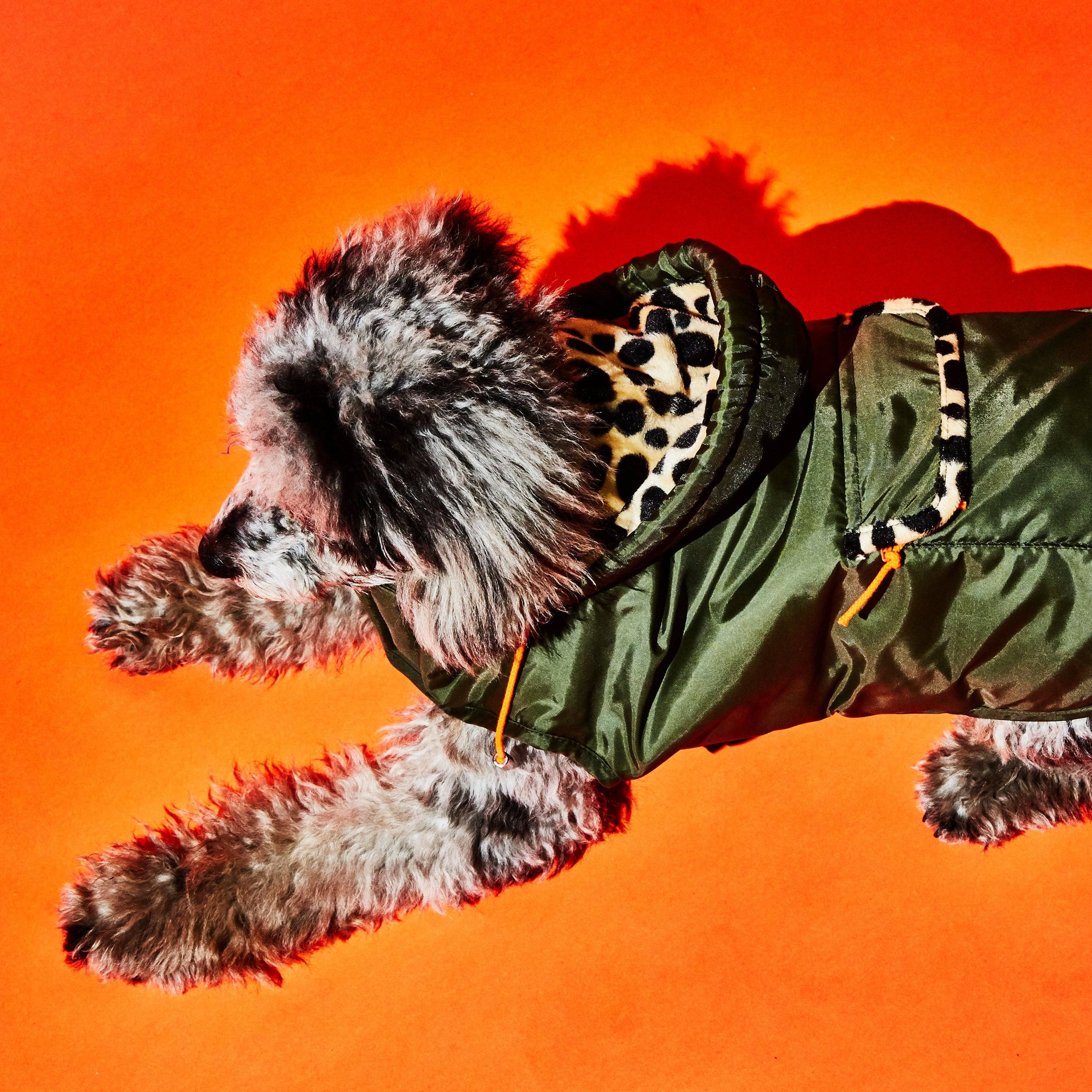 Olive &amp; Animal Print Trim Puffer Jacket