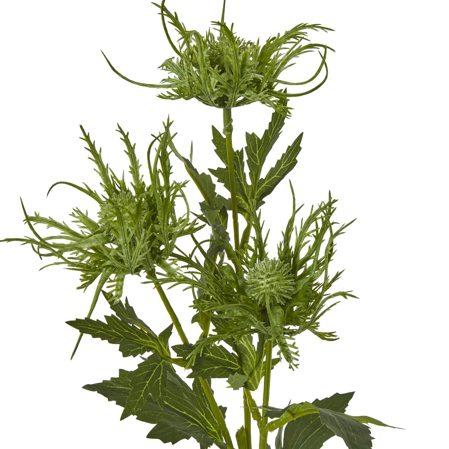 Green Sea Holly Artificial Stem Coastal Bloom