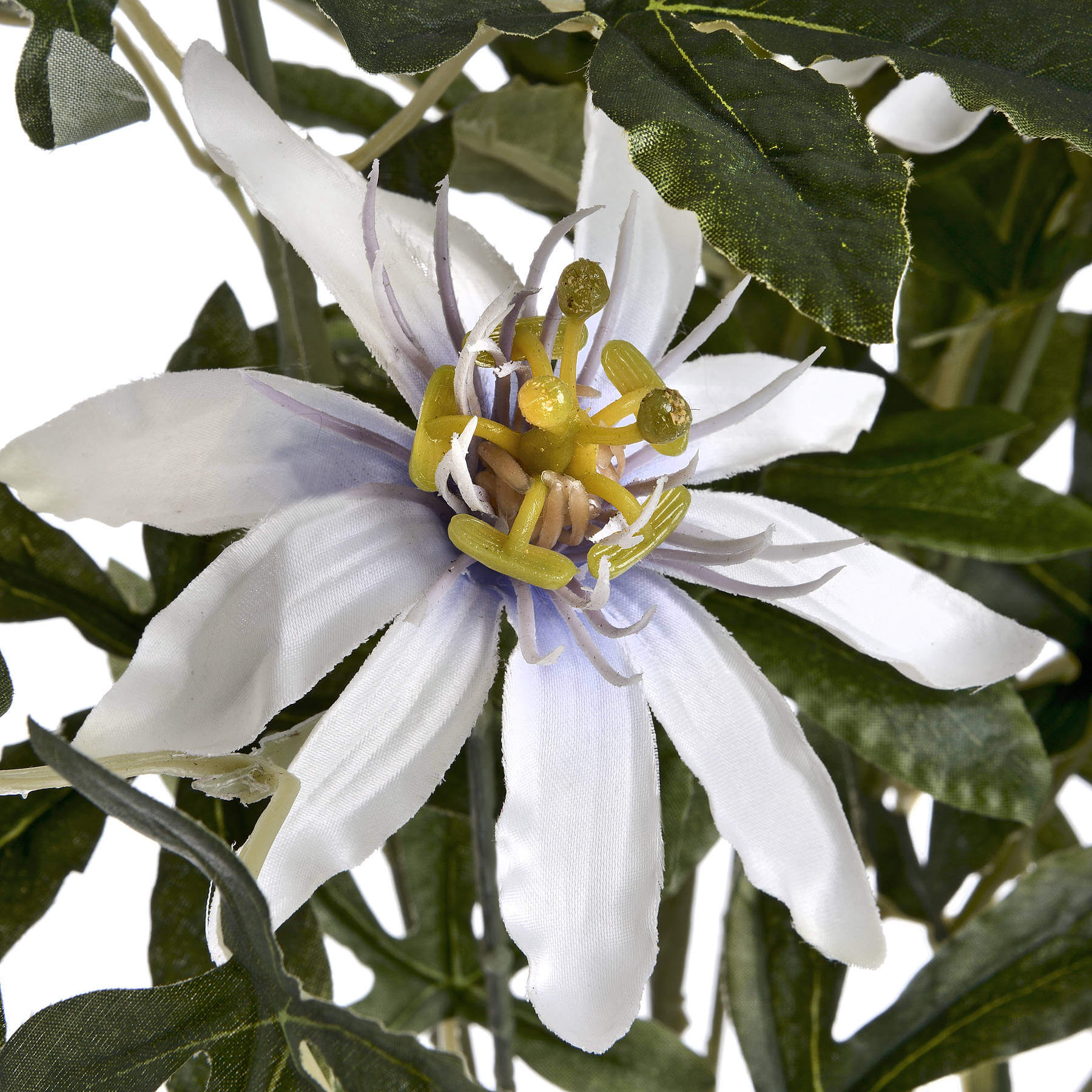 Calming Passion Flower Mist | Natural Relaxation Spray