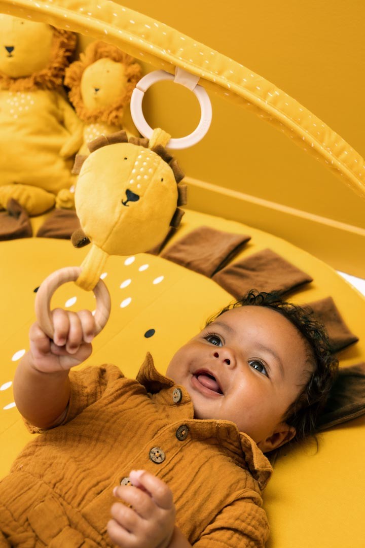 This exciting play mat, with its two arches and lots of fun activity toys, guarantees hours of play. It includes a teether, mirror, wooden rings, rattle, crinkle paper, fun fringes and flappy ears with different textures, ready to tickle all your child's senses. by Trixie Baby at www.brixbailey.com