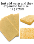 Cleaning Cloths & Sponges