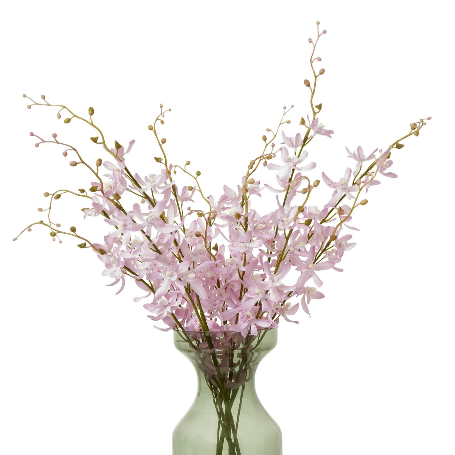 Elegant Lilac Cymbidium Spray | Fresh Floral Beauty