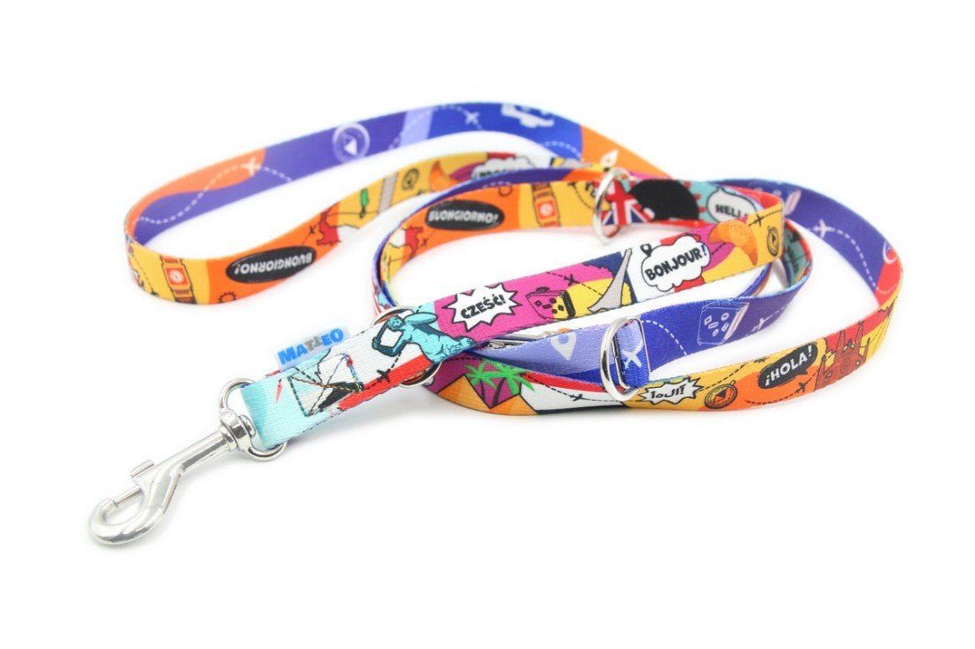 Travel Adjustable Dog Leash