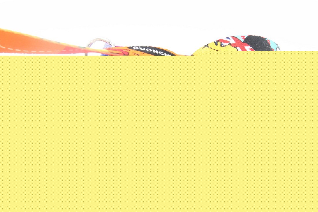 Travel Adjustable Dog Leash