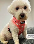 Adjustable Harness - Peachy Hearts