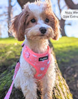 Adjustable Harness - Peachy Hearts