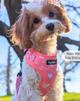 Adjustable Harness - Peachy Hearts