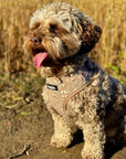Luxe Adjustable Harness - Toffee Latte Petals