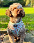 Adjustable Harness - Woodland Friends