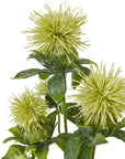 Hydrating Green Safflower Face Mist | Soothing Refresh