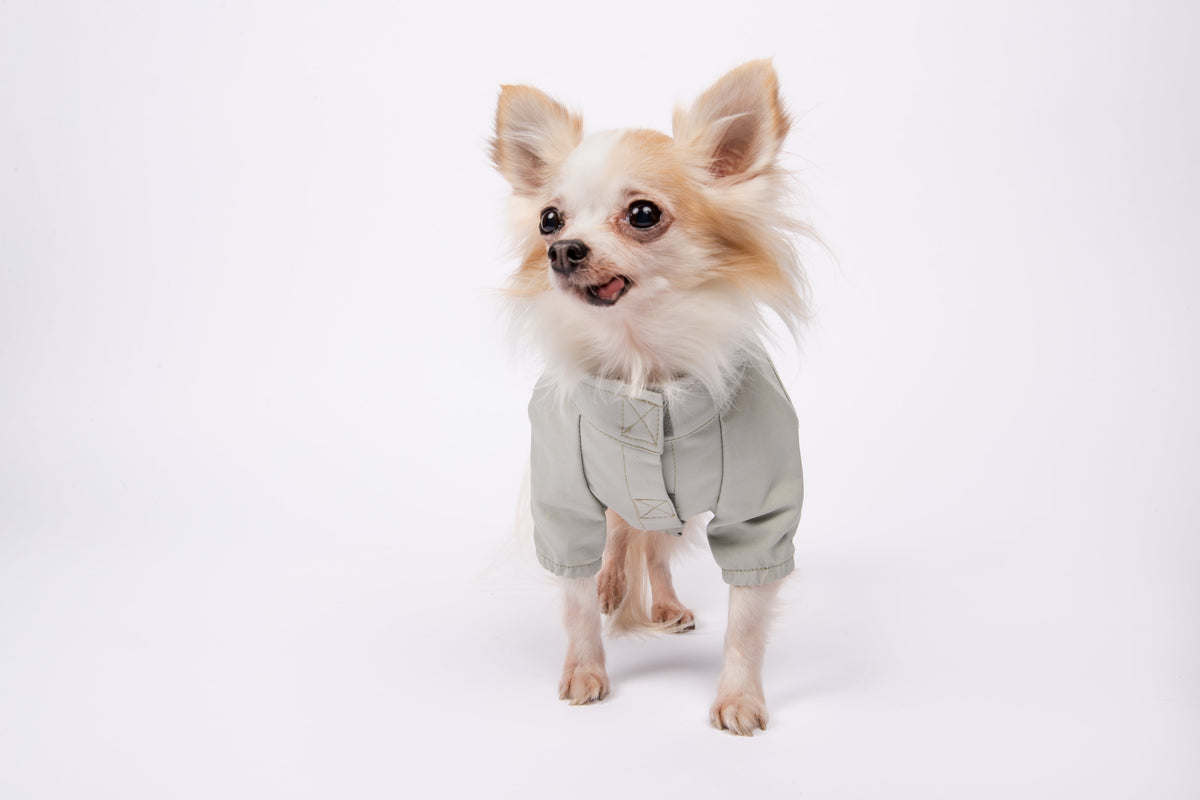 You are not alone Thin Coat