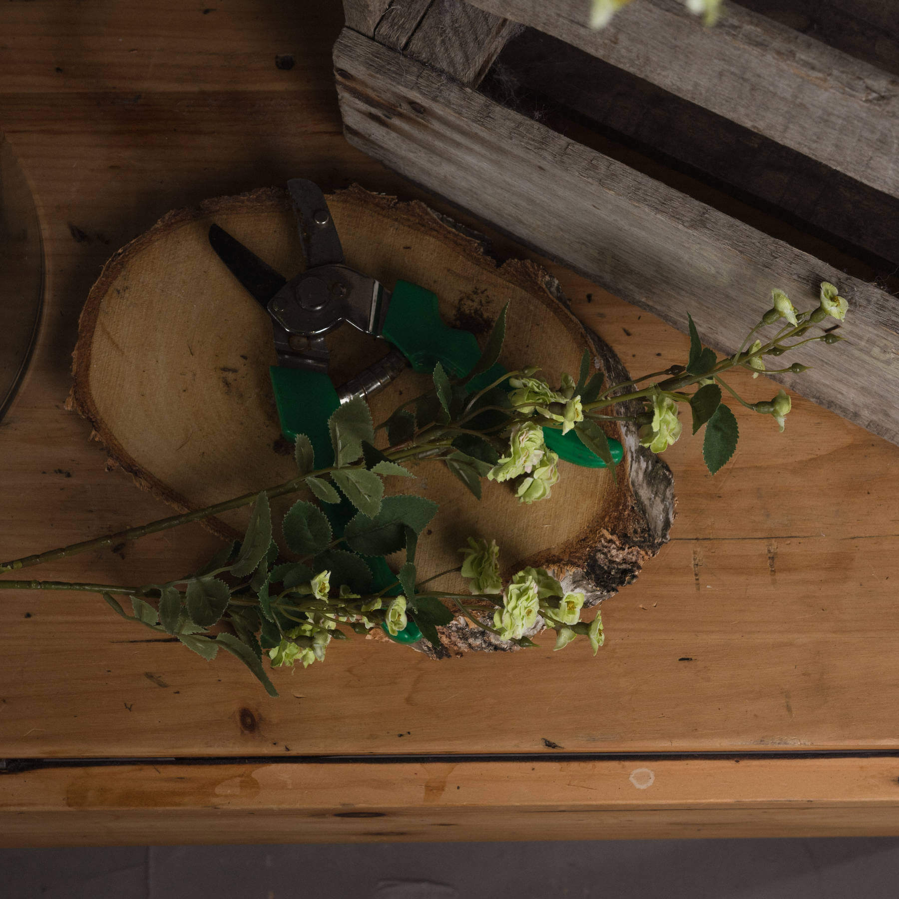 Wild Green Meadow Rose | Fresh &amp; Natural Blooms
