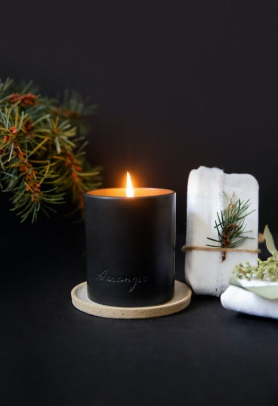 No. 102 Silver Skyline-3