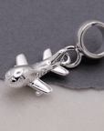 Aeroplane Silver Charm