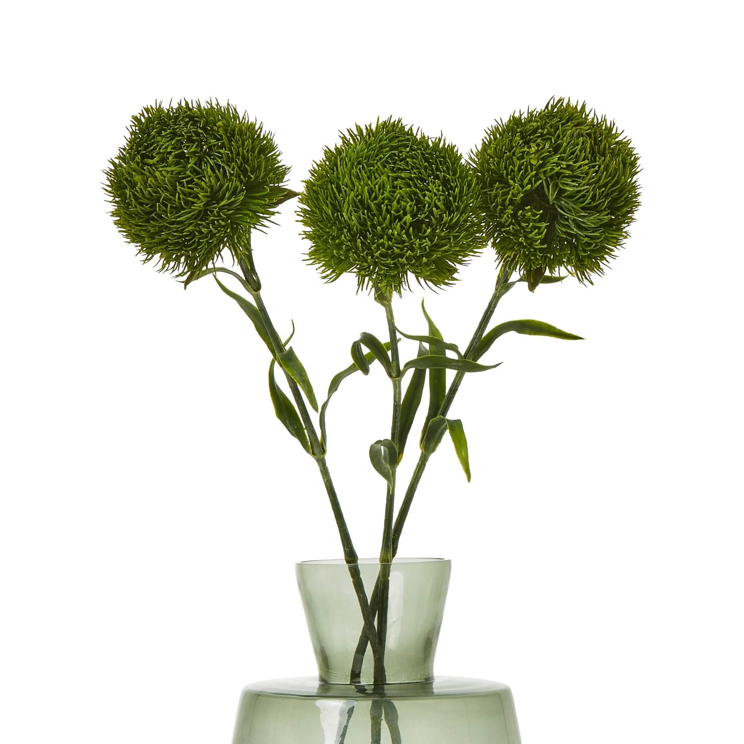 Lush Dark Green Dianthus Stem | Fresh Floral Elegance