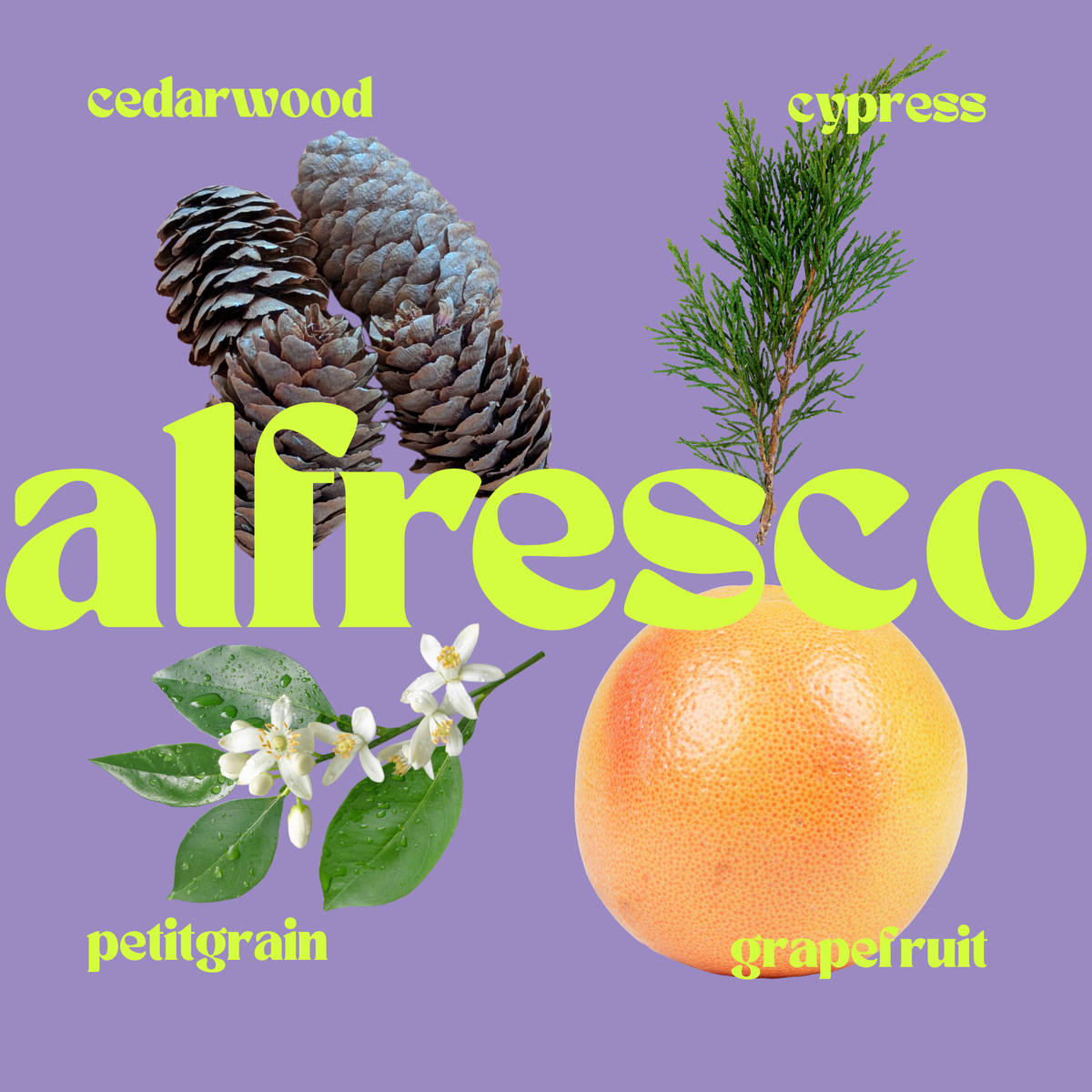 ALFRESCO Room Mist