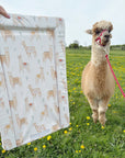 Standard Changing Mat - Alpacas