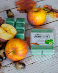 Apple & Cinnamon - Wax Melt Clamshell