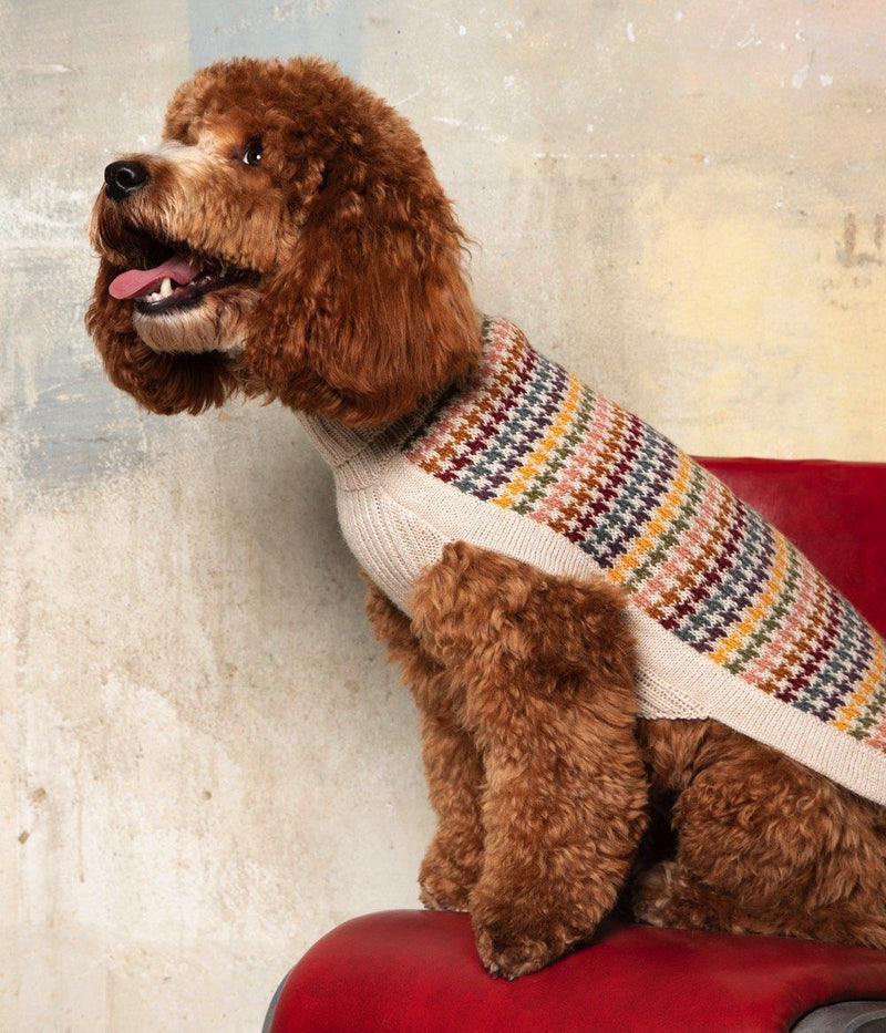 "Artesana" Handmade Alpaca Wool Dog Jumper
