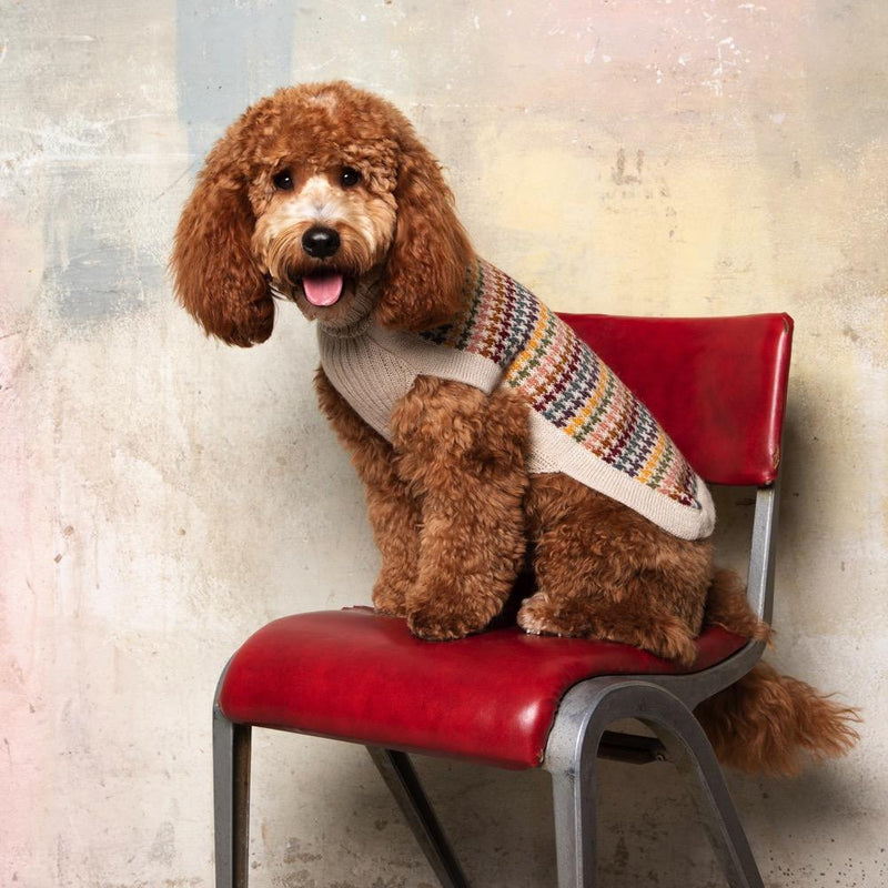"Artesana" Handmade Alpaca Wool Dog Jumper