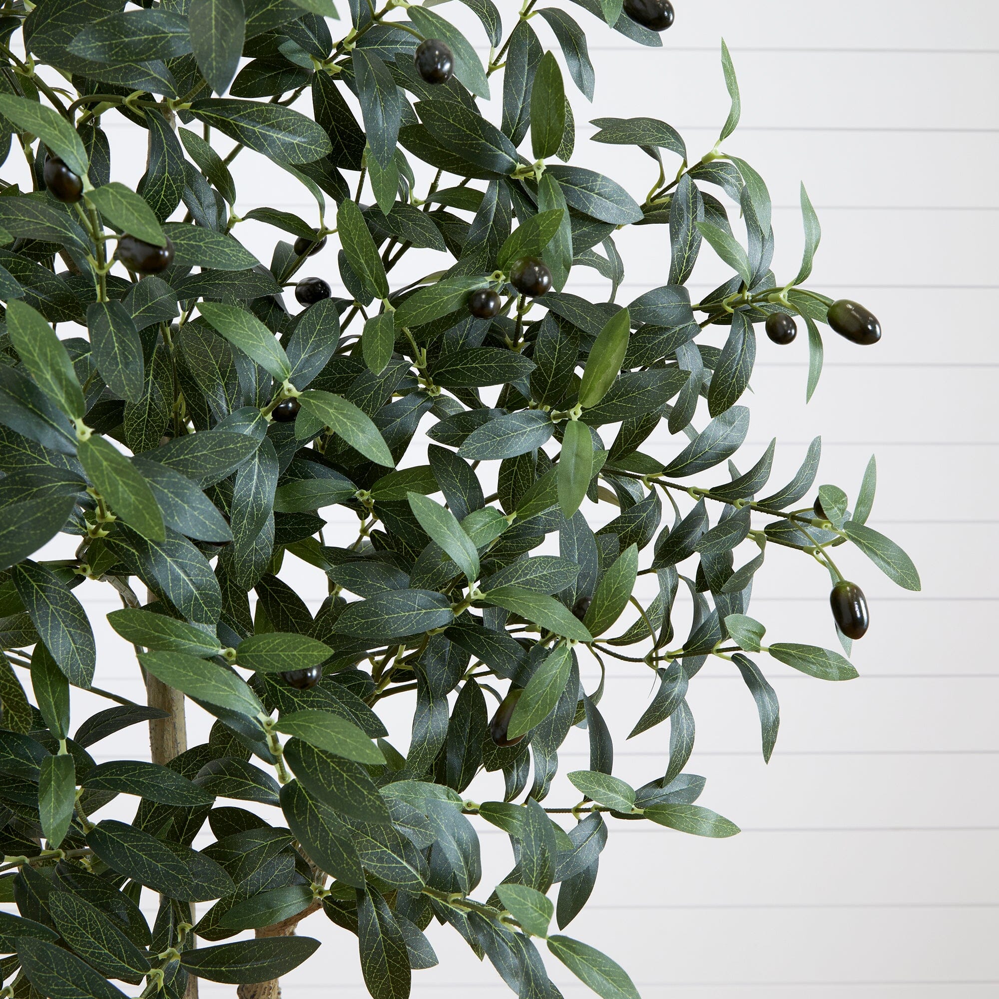Faux Olive Tree in White Planter