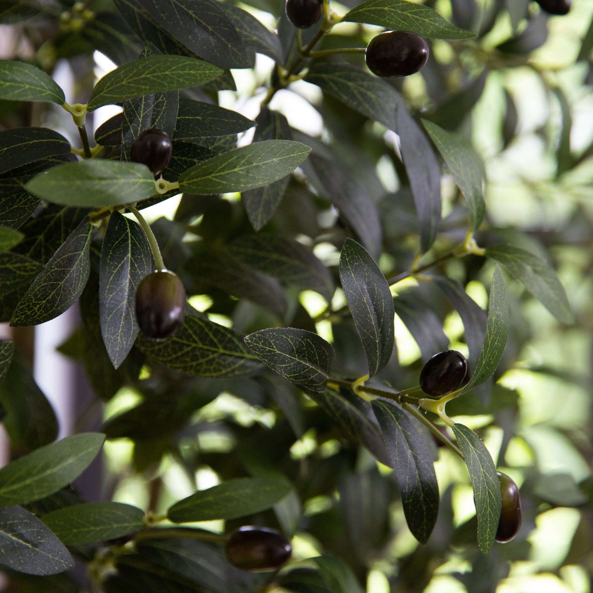 Faux Olive Tree in White Planter