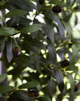Faux Olive Tree in White Planter