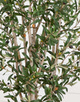 6’ Olive Tree in Stone Planter