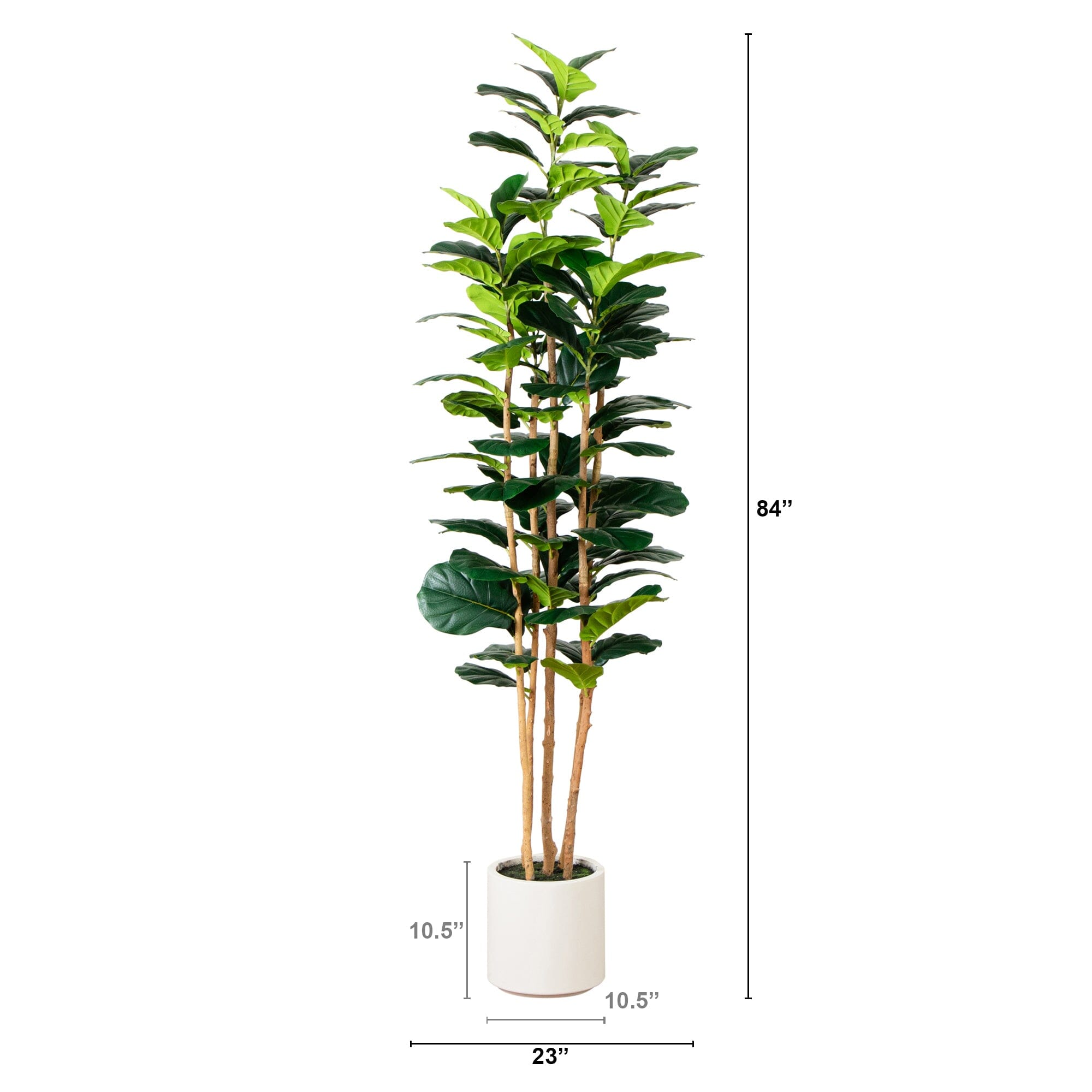Artificial Fiddle Leaf Tree in White Planter - 7'