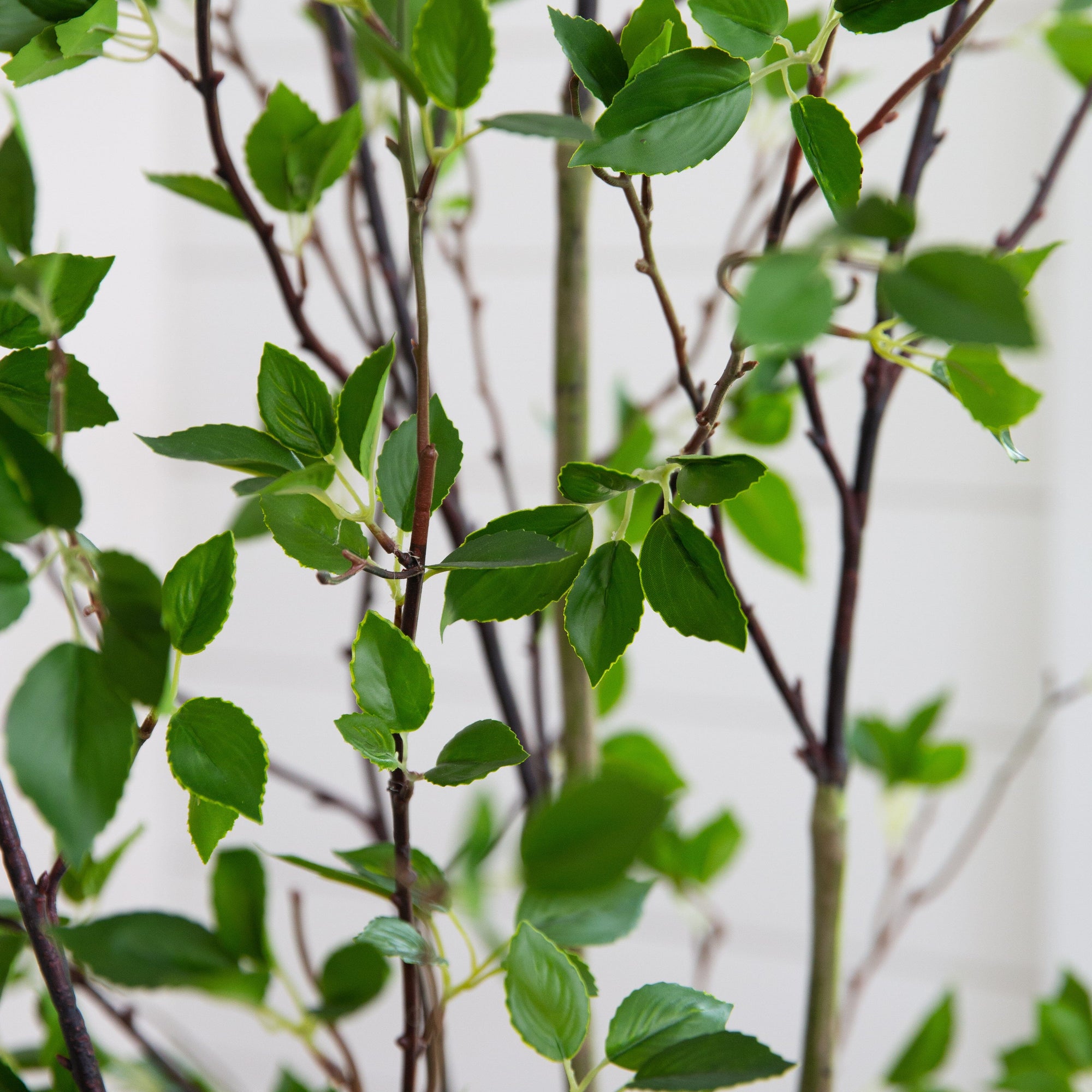 Minimalist Artificial Citrus Tree - 7'